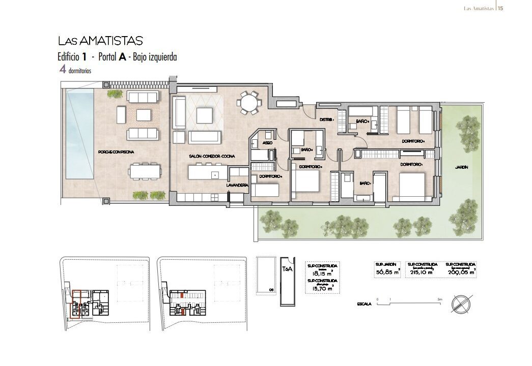 amatistas-promociones-ibiza-6