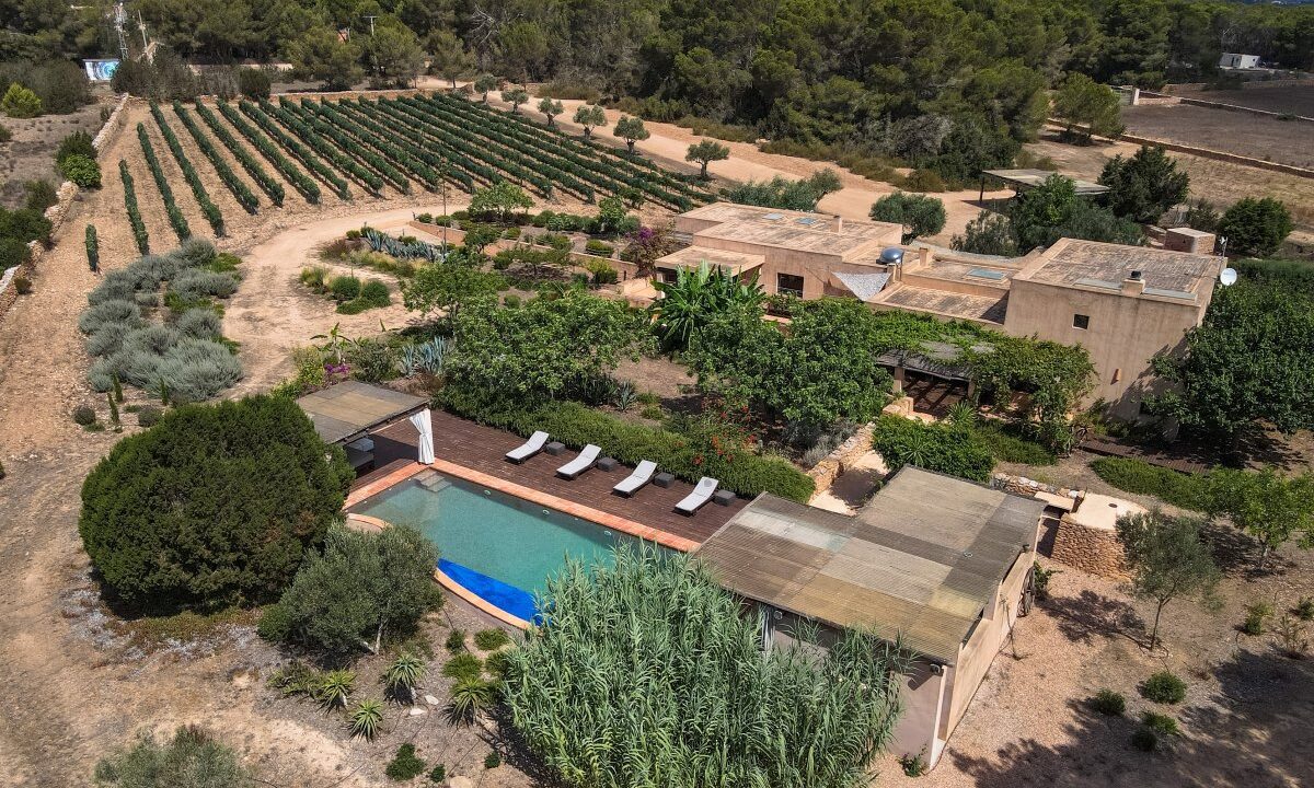ibizasevenvillas formentera venta (16)