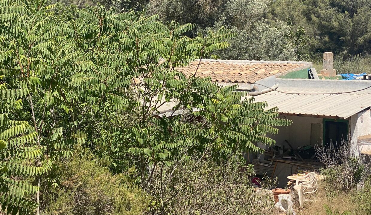 ibizasevenvillas-casa-1