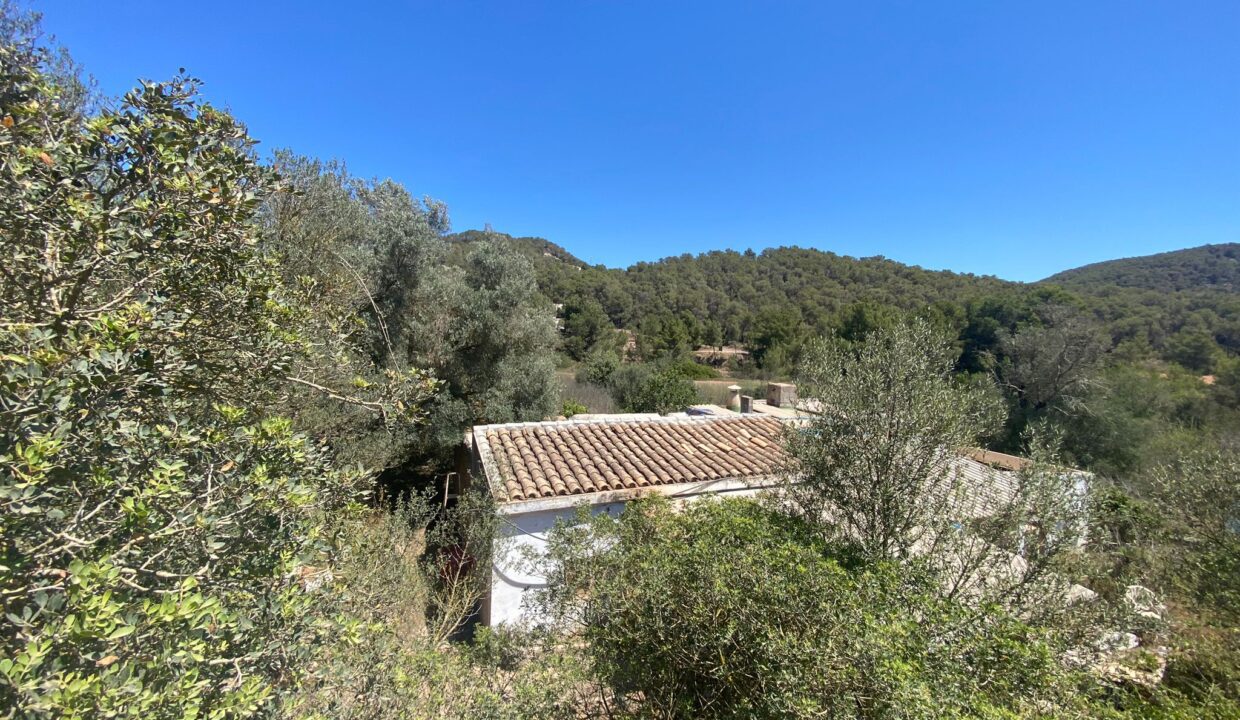 ibizasevenvillas-casa-2