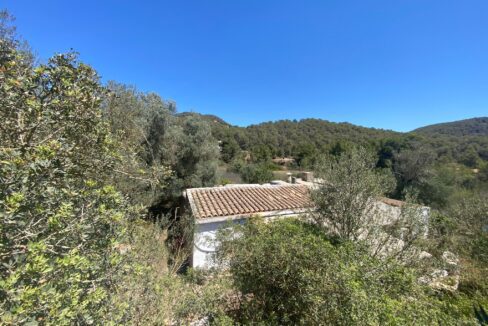 inmobiliaria en ibiza