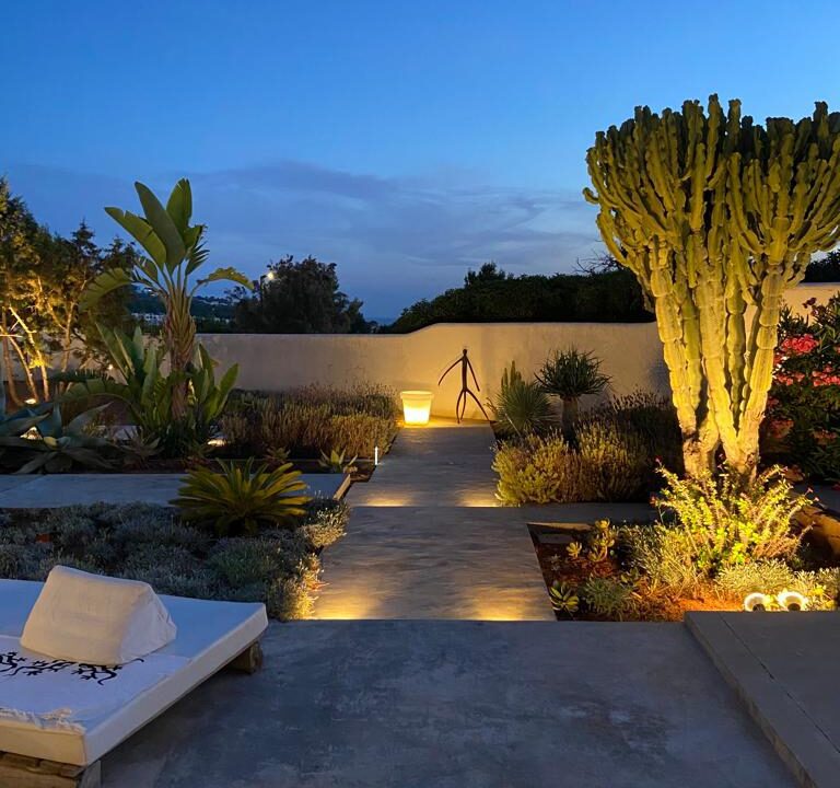 WhatsApp Image 2026-02-06 at 07.42.08 (13)