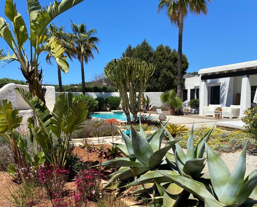 WhatsApp Image 2026-02-06 at 07.42.08 (8)