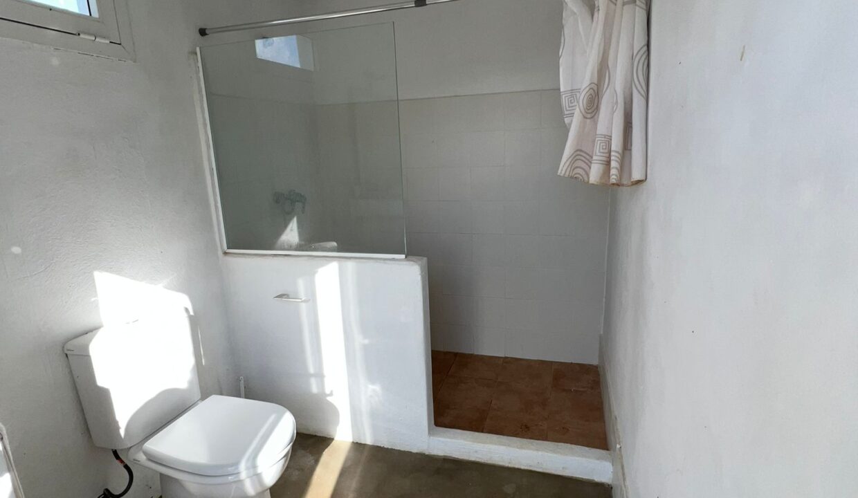 ibizasevenvillas finca agricola (10)