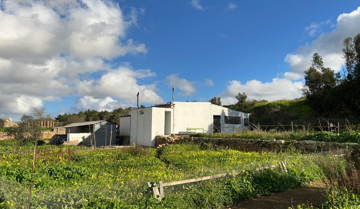 ibizasevenvillas finca agricola (14)