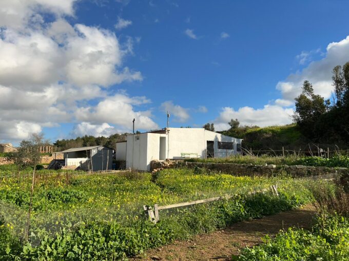 inmobiliaria en ibiza