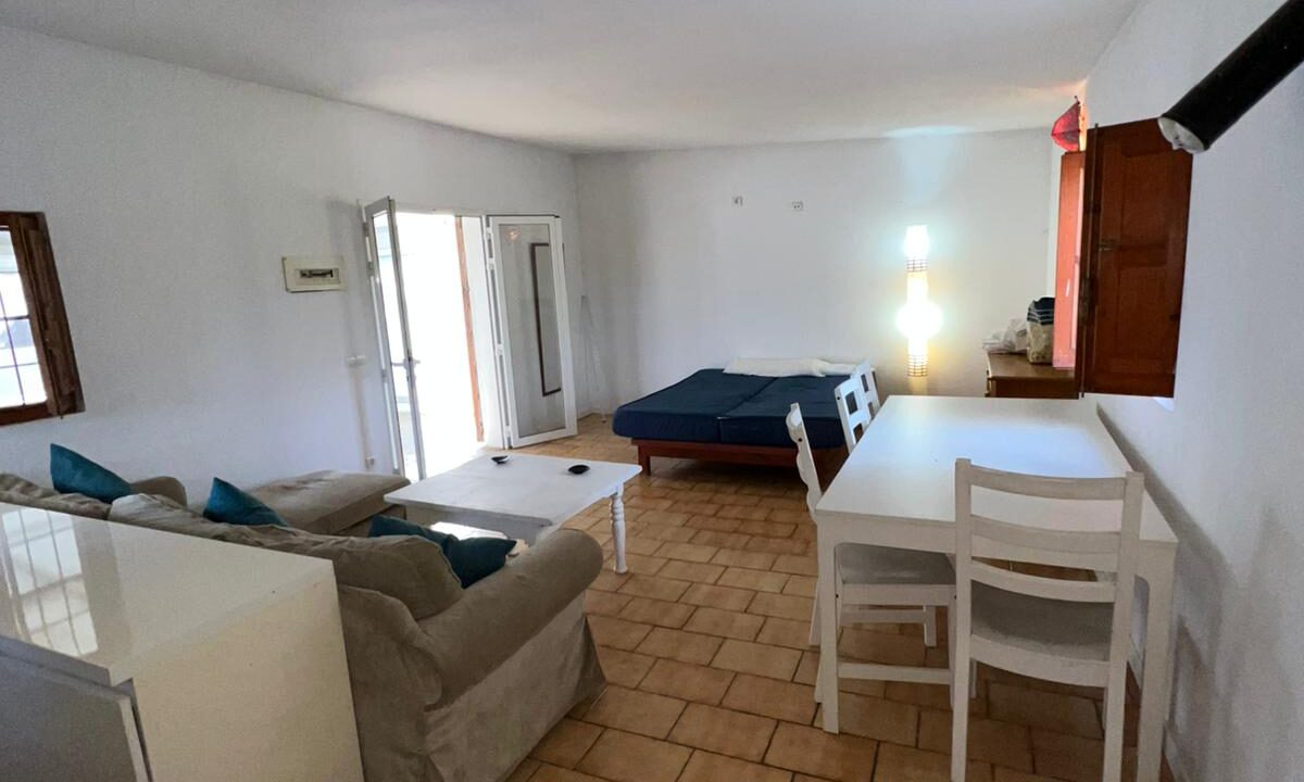 ibizasevenvillas finca agricola (2)