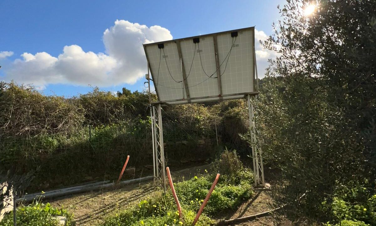 ibizasevenvillas finca agricola (21)