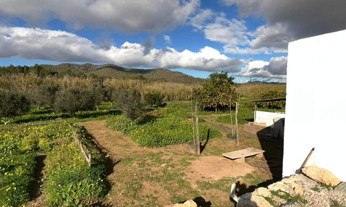 ibizasevenvillas finca agricola (23)