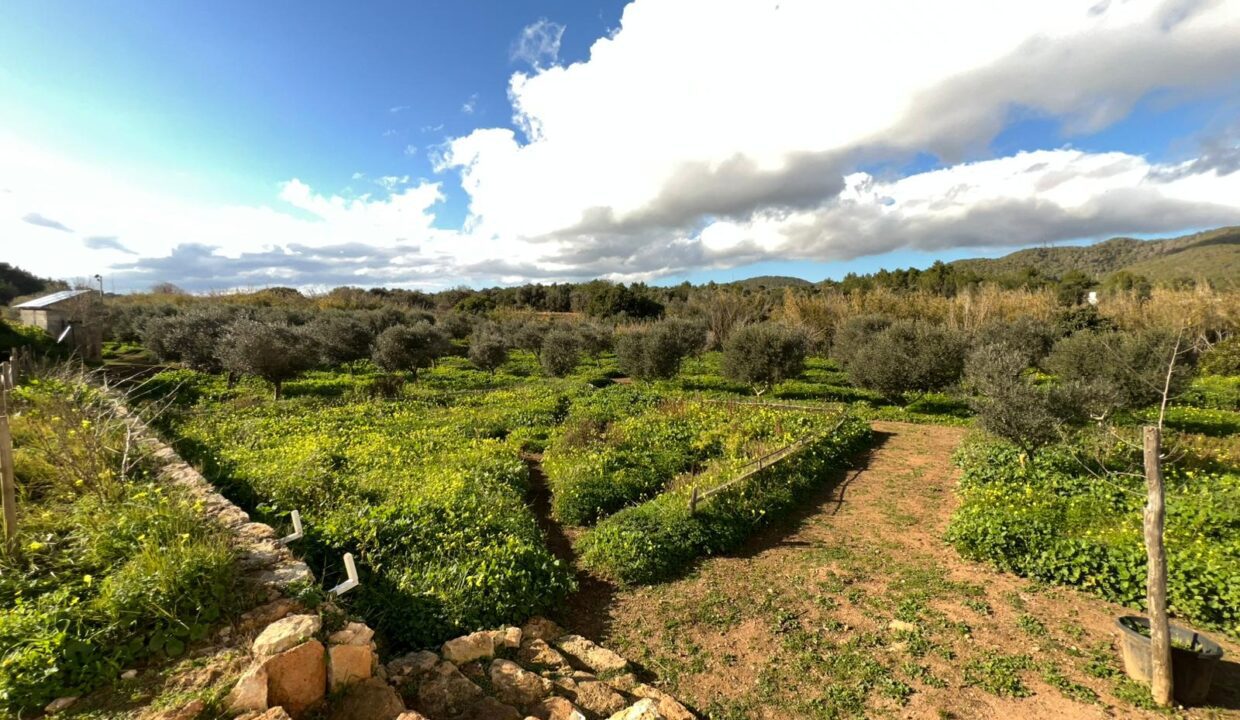 ibizasevenvillas finca agricola (25)