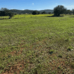 inmobiliaria en ibiza