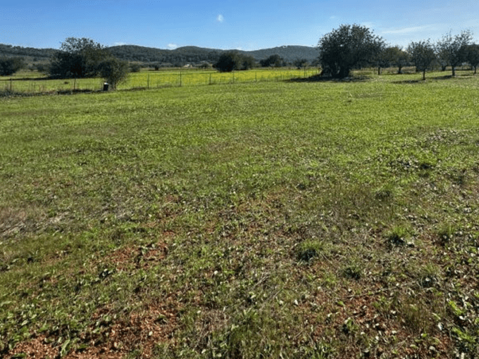 inmobiliaria en ibiza